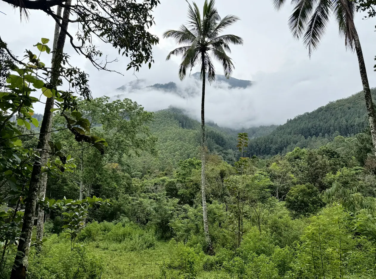 NatureFalls