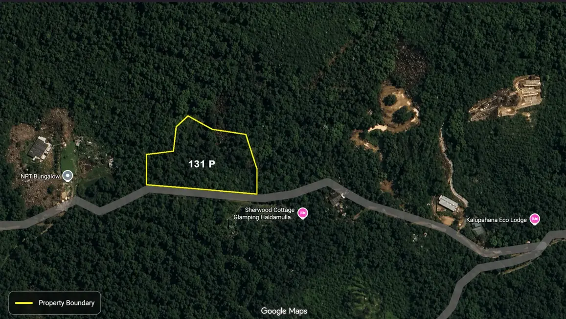 Map View