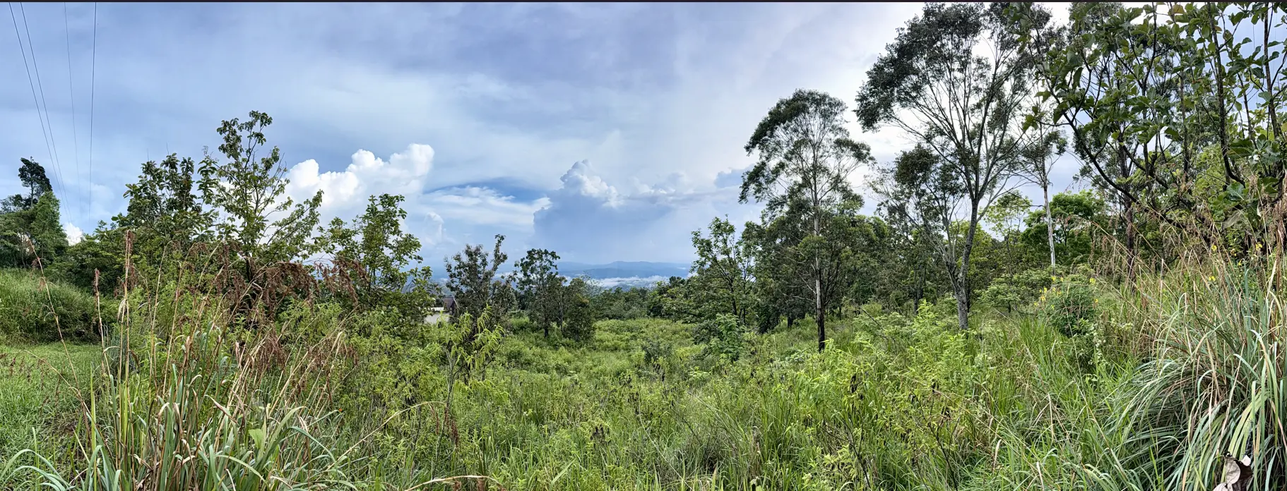 WetLand